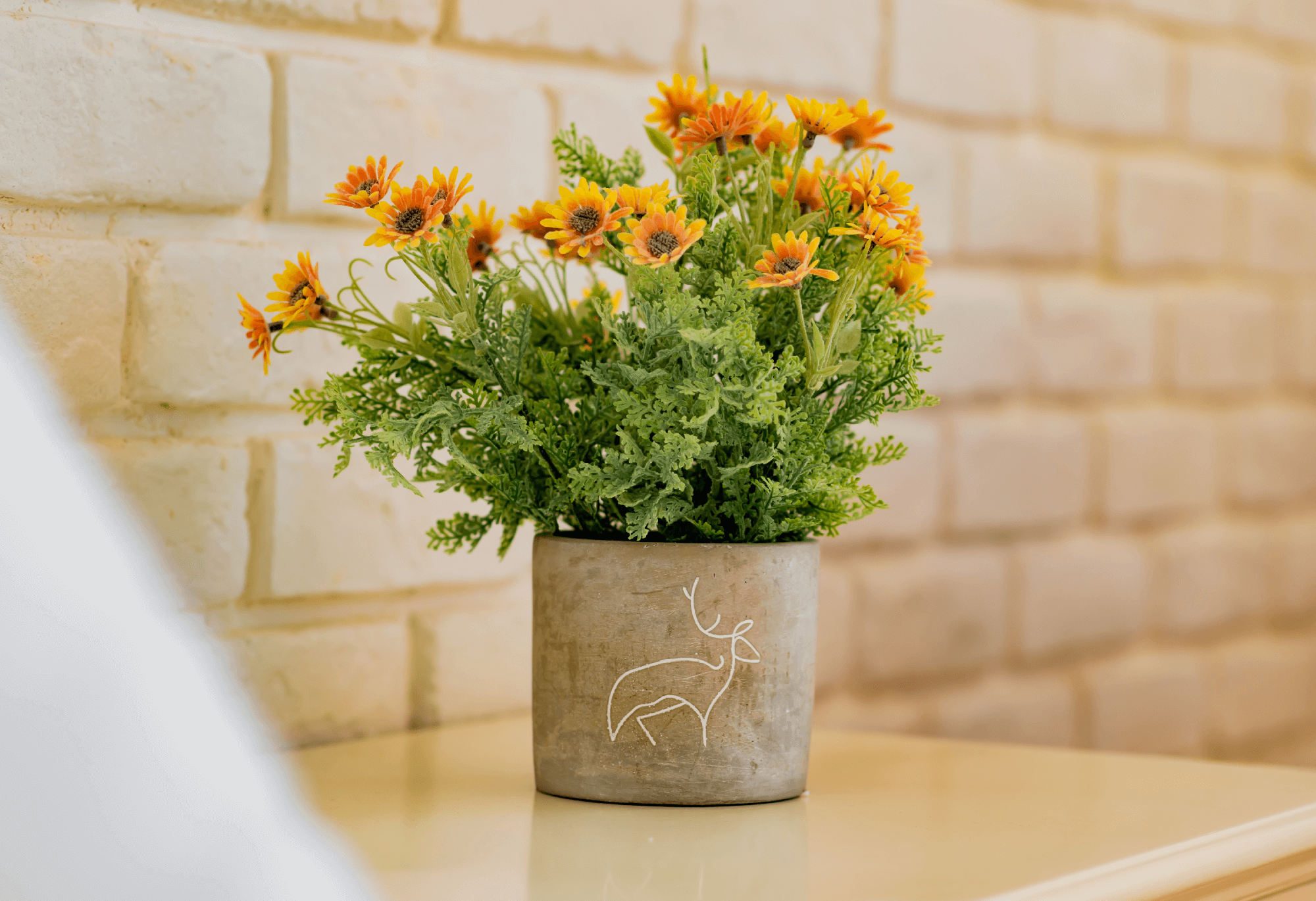 609d4744f6cb472f73af245d_נוף_מדבר-63