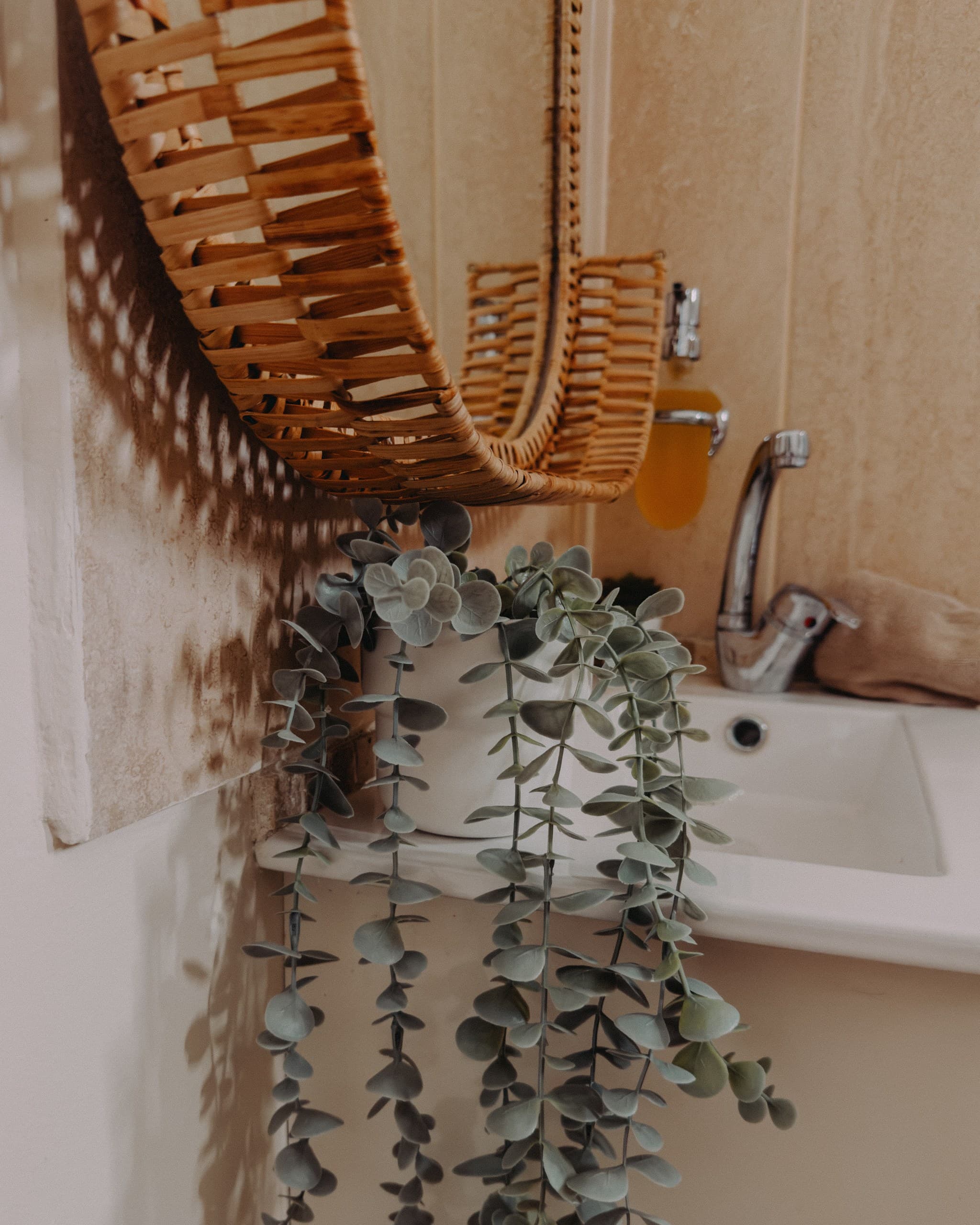 IMG_7533 2_resized.jpg