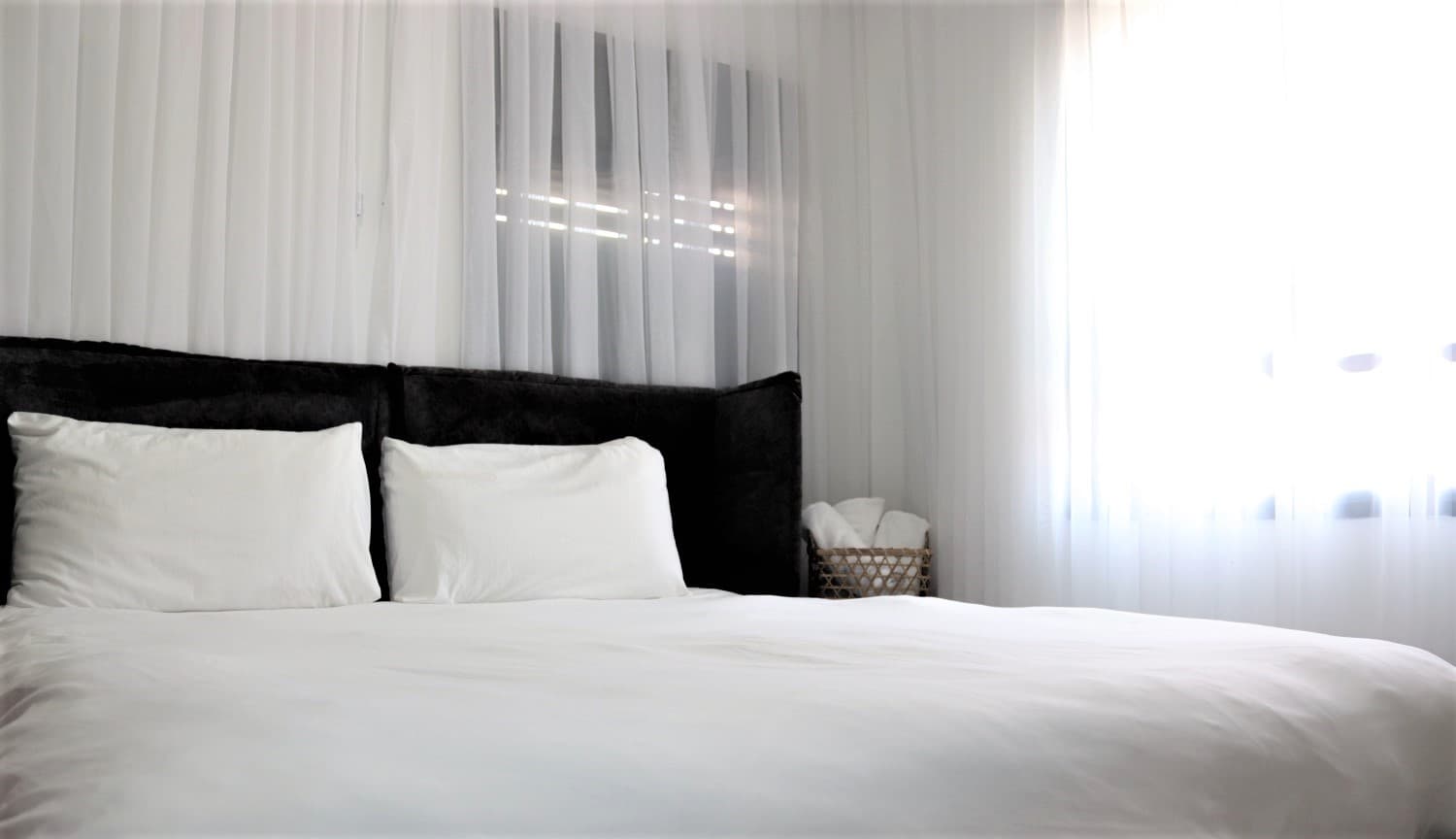 923d2531b94856ef0cacccae361c6b58c76be3a (1).jpg